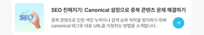 SEO 친해지기: Canonical 설정으로 중복 콘텐츠 문제 해결하기